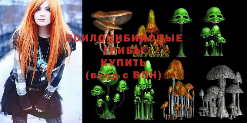 купить наркотики сайты  Агрыз  Псилоцибиновые грибы Cubensis 